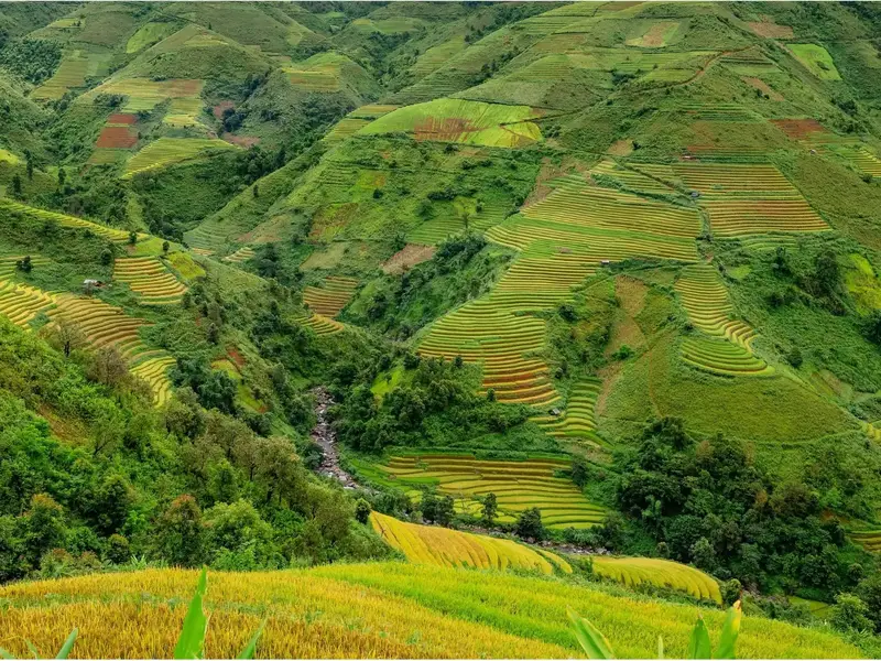 Coorg, Karnataka